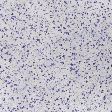 abstract background with a pattern of blue and white spots