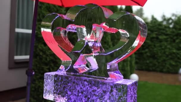 Ice Sculpture Shape Hearts Wedding — 비디오