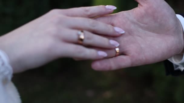 Рука Невесты Руке Жениха Обручальным Кольцом — стоковое видео