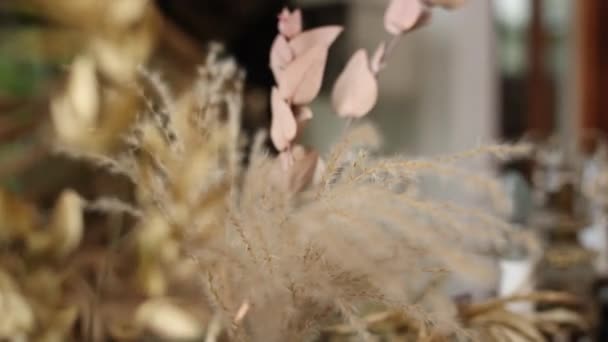 Decor Spikelets Dried Flowers Apartment — Wideo stockowe
