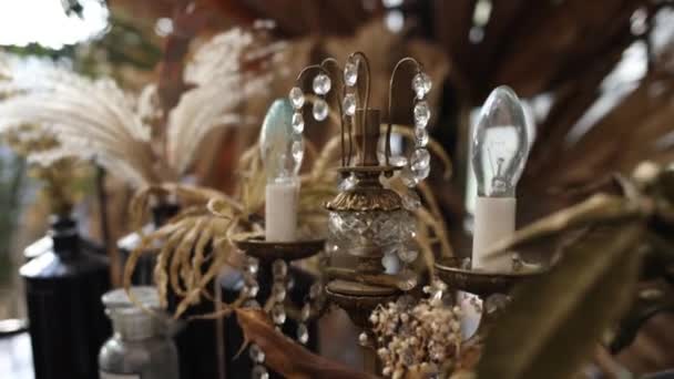Decor Light Bulbs Dried Flowers Interior — Wideo stockowe