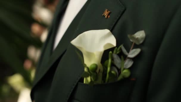 Groom Suit Boutonniere His Jacket — ストック動画