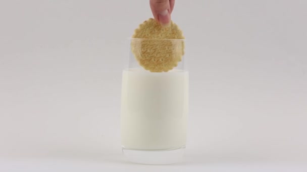 Deliziosi Biscotti Fatti Casa Immersi Bicchiere Latte Fresco Bianco — Video Stock
