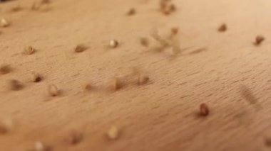 Karabuğday, yemek pişirmek için arka plandaki yemek videosunu yavaşça indirir.