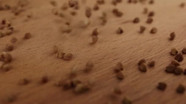 Buckwheat Groats Close Perlahan Menuangkan Video Makanan Latar Belakang Meja — Stok Video