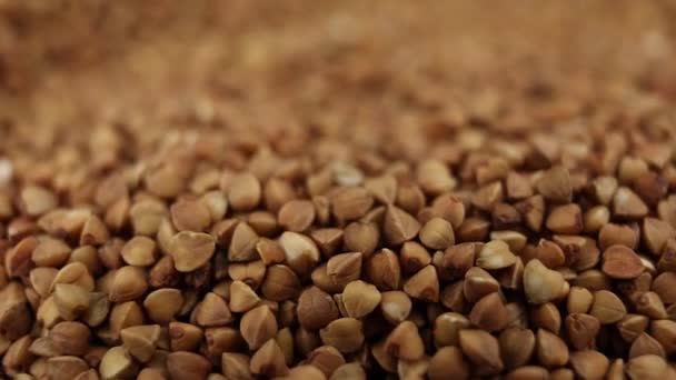 Hrișcă Groats Close Fundal Alimente Video Pentru Gătit — Videoclip de stoc