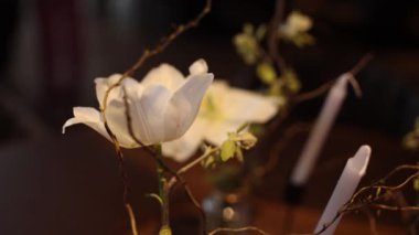  Tatil evi dekorasyonu için beyaz taç yapraklı bir çiçek.