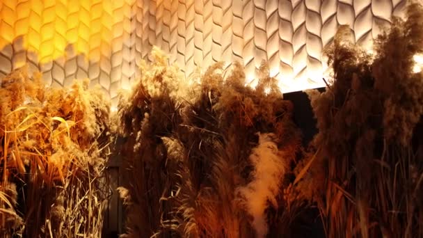 Kurumuş Çiçek Çivileriyle Odadaki Dekorasyon Arka Planı — Stok video