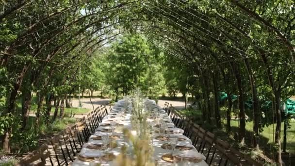 Schöne Hochzeitstafel Für Ein Bankett Freien Park — Stockvideo
