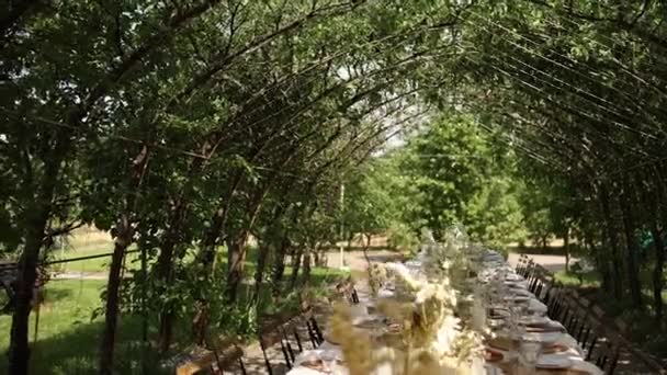 Красивый Свадебный Стол Едой Напитками Банкета Открытом Воздухе Парке — стоковое видео