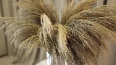 Dekoratif düğün partisi sarı ışıklı çiçeklerden oluşan kapalı bir duvarda.