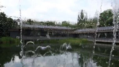 Parkın bölgesindeki dekoratif şelale.