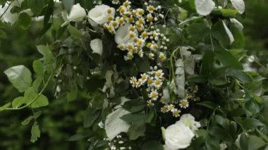 Sandalyeli bir parkta düğün töreni için güzel bir kemer.