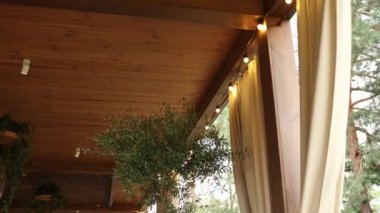 Restoranın terasında bitki ve dekor var.