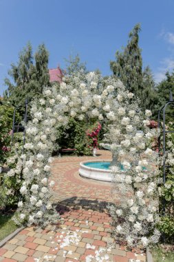 Sandalyeli bir parkta düğün töreni için güzel kemer.
