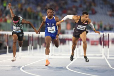 Roma, İtalya 30.08.2024: Sasha ZHOYA atletizm yarışmasında 110M HURDLES MEN kazandı Altın Gala Pietro Mennea Rome 2024 - 30 Ağustos 2024 'te Roma' daki Stadio Olimpico 'da Diamond League.