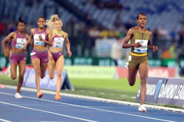 Rome, Italy 30.08.2024 : Faith KIPYEGON win 1500M WOMEN during athletic competition Golden Gala Pietro Mennea Rome 2024 - Diamond League at Stadio Olimpico in Rome on August 30, 2024. clipart