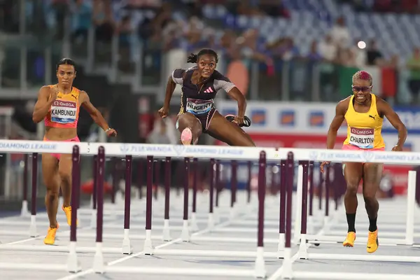 stock image Rome, Italy 30.08.2024 :  NUGENT Ackera win  100M HURDLES WOMEN in athletic competition Golden Gala Pietro Mennea Rome 2024 - Diamond League at Stadio Olimpico in Rome on August 30, 2024.