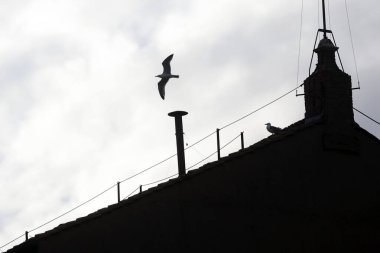 Vatikan Şehri, İtalya 05 / 03 / 2025: Sistine Şapeli 'nin çatısına yığılan duman yığını 7 Mayıs' ta başlayacak toplantıda oylanmayı bekliyor.