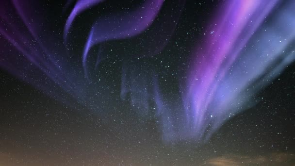 Aurora Fioletowy Gwiaździsty Sky Loop — Wideo stockowe