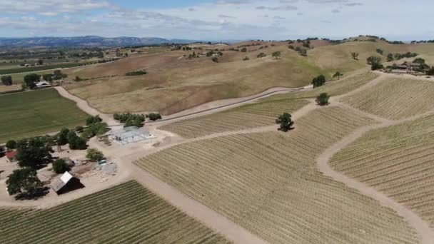California Wine Country Paso Robles Vineyard Aerial Shot Back — стоковое видео