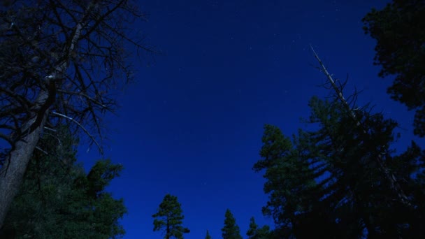 North Star Polaris Starry Sky Time Lapse Céu Norte Acima — Vídeo de Stock