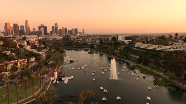 Los Angeles Belvárosában Sunset Echo Park Aerial Shot Palm Trees — Stock videók