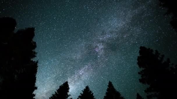 Sequoia National Park Perseid Meteor Dusch Och Vintergatan Galaxy Sydväst — Stockvideo