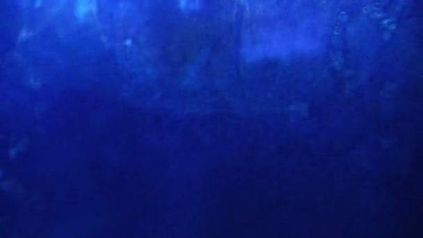 Podwodne Bąbelki Rocky Shore — Wideo stockowe