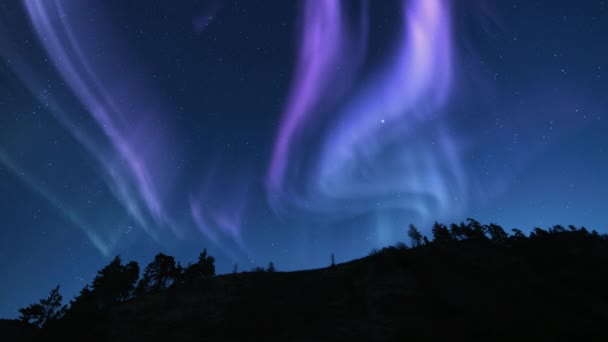 Аврора Звездное Небо Небесное Чудо Над Петлей Горного Леса — стоковое видео