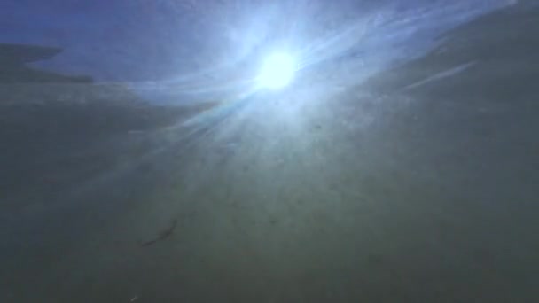 Luce Del Sole Subacquea Pacific Ocean Beach Waves California Usa — Video Stock