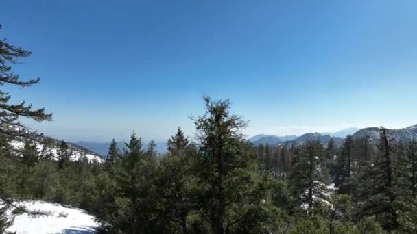 美国加利福尼亚州圣加布里埃尔市冬季高原地区雪山森林的空中美景 — 图库视频影像
