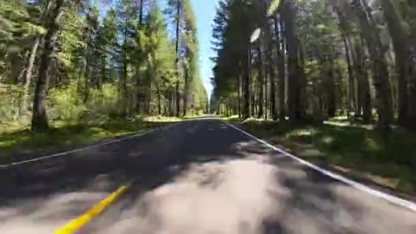 Crater Lake Highway Eastbound Union Creek South Eingang Frontansicht Fahrtplatten — Stockvideo