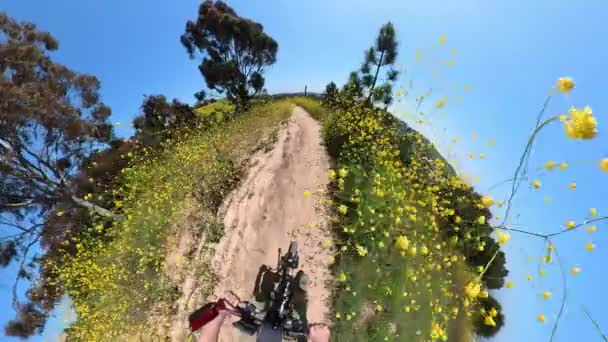 Kenneth Hahn Park Mountain Bike Hill Pov Fisheye California Estados — Vídeos de Stock