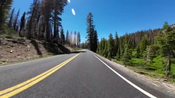 Lassen Vulkanikus Kings Creek Meadow Front View Driving Plates Vulkanikus — Stock videók