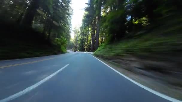 红杉国家公园德尔北海岸前景101北行美国加州车牌 — 图库视频影像