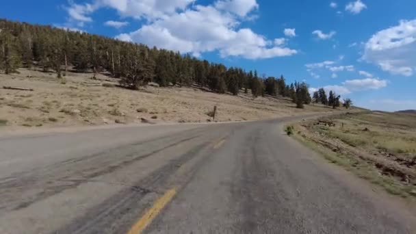 White Mountain Ancient Bristlecone Scenic Byway Westbound Front View Driving — Stock video