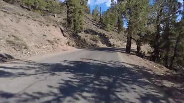 White Mountain Ancient Bristlecone Scenic Byway Westbound Front View Driving — Stok Video
