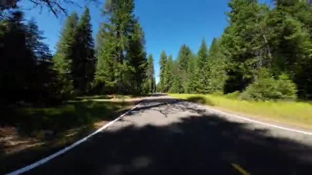 Crater Lake Highway Eastbound Union Creek South Entrance Tylny Widok — Wideo stockowe