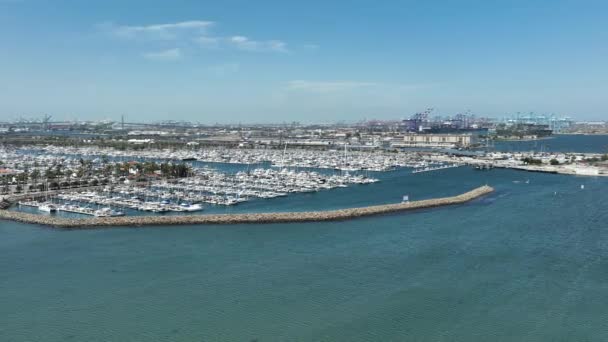 Aerial View California Cabrillo Marina Port Los Angeles San Pedro — Stock Video