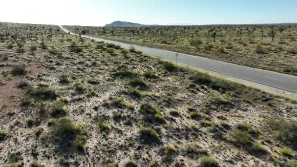 美国加利福尼亚州兰开斯特市莫哈韦沙漠上空的高速公路飞行 — 图库视频影像