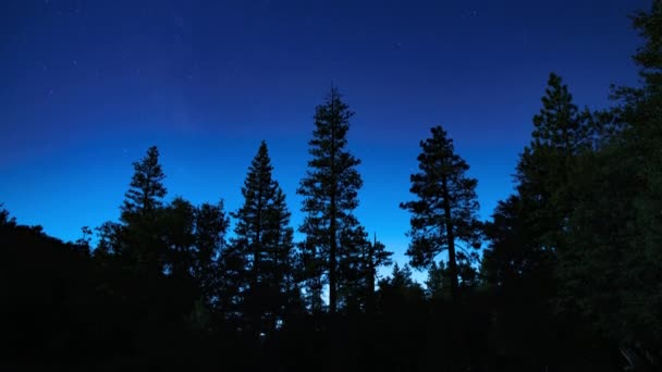 Droga Mleczna Galaxy Moonlight Time Lapse South Sky Sosnowe Lasy — Wideo stockowe