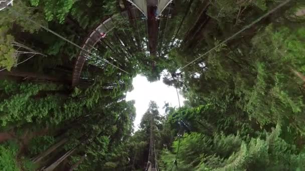 红杉森林悬索桥360度鱼眼01加州美国 — 图库视频影像