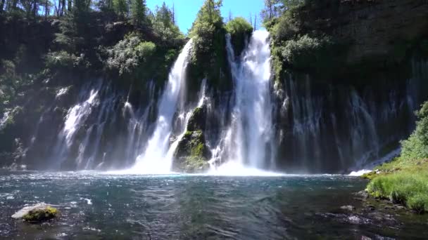 Büyüleyici Şelaleler Burney Falls Shasta California Abd — Stok video