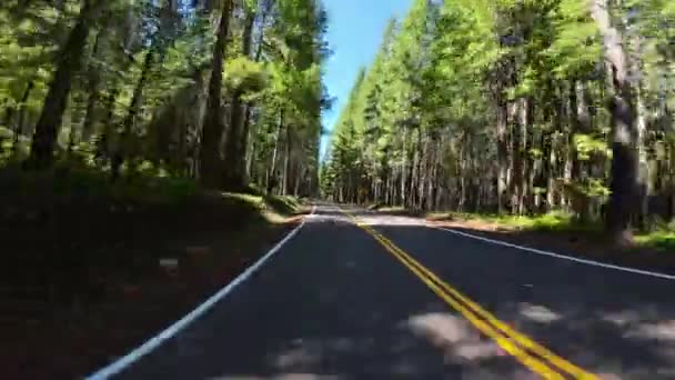 Crater Lake Highway Eastbound Union Creek South Entrance Widok Tyłu — Wideo stockowe