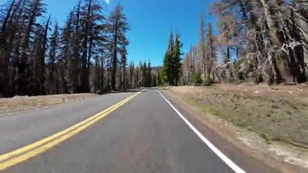 Lassen Volcanic Kings Creek Meadow Front View Driving Plates Volcanic — Stockvideo