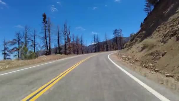 Angeles Crest Highway Summer Eastbound Islip Saddle Grassy Hollow Front — Wideo stockowe
