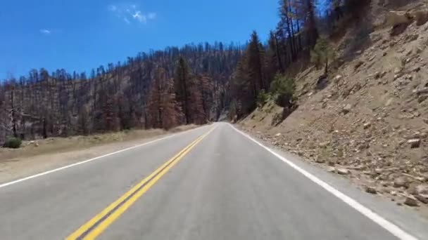 Angeles Crest Highway Summer Eastbound Islip Saddle Grassy Hollow Front — Stock video