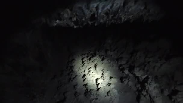 美国加利福尼亚州Lava河床国家纪念物洞内的雷电钻洞穴爬虫 — 图库视频影像