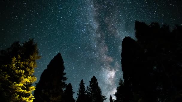 Národní Park Sequoia Mléčná Dráha Galaxy Jižní Obloze Perseid Meteor — Stock video